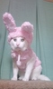 やっちんさんの写真